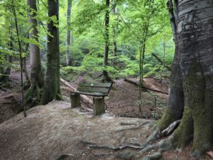 Karriereberatung und Coaching - Thomas Harnisch